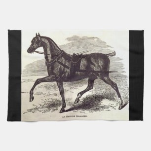 1800-talets bok En engelsk roadster-häst Kökshandduk