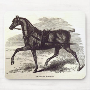 1800-talets bok En engelsk roadster-häst Musmatta
