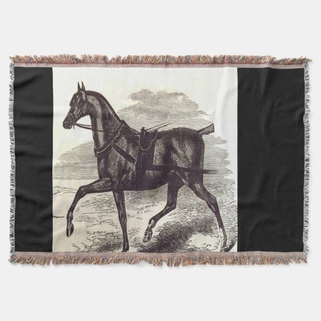 1800-talets bok En engelsk roadster-häst Mysfilt (Framsidan)