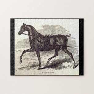 1800-talets bok En engelsk roadster-häst Pussel