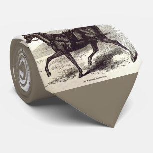 1800-talets bok En engelsk roadster-häst Slips