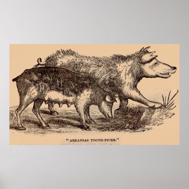 1800-talets djurtryck i grisar poster (Framsidan)