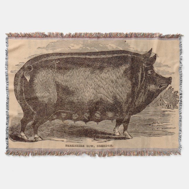 1800-talets gris-tryck Berkshire sow no 1 Filt (Framsidan)