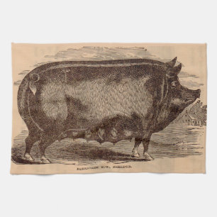 1800-talets gris-tryck Berkshire sow no 1 Kökshandduk