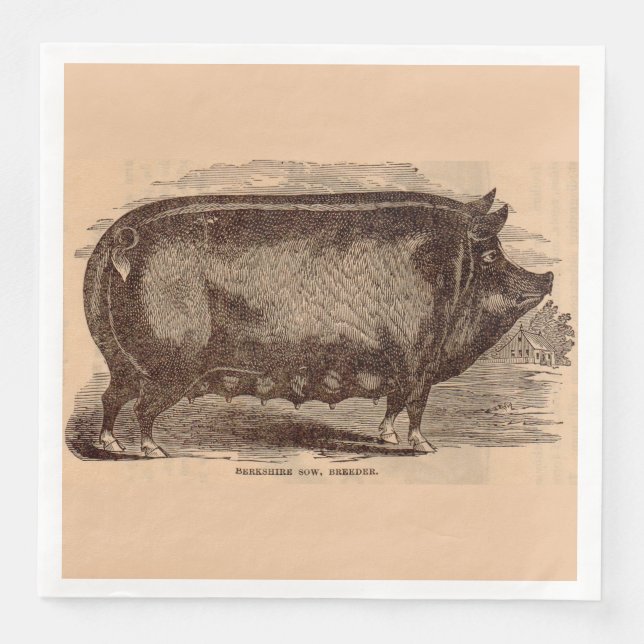 1800-talets gris-tryck Berkshire sow no 1 Pappersservett (Framsida)