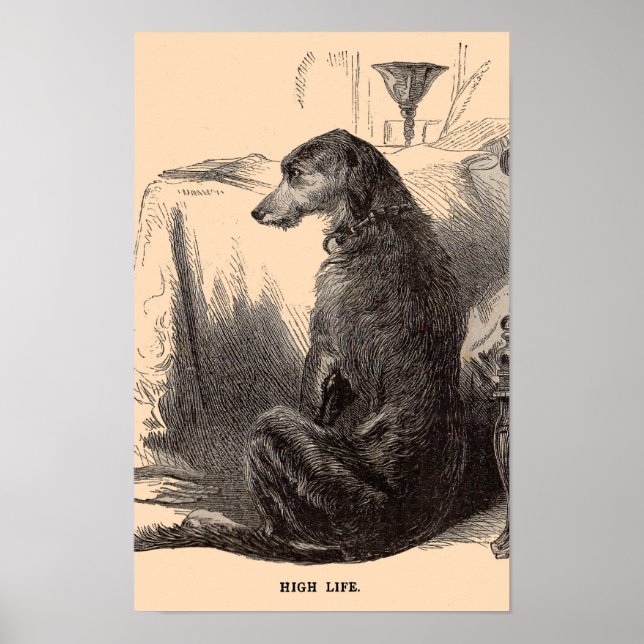 1800-talets hund High Life Poster (Framsidan)
