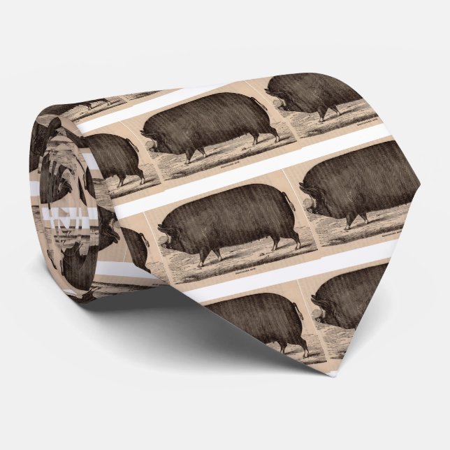 1800-talets husdjur Berkshire sow no 2 Slips (Rullad)