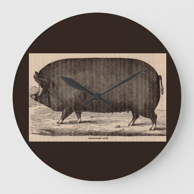 1800-talets husdjur Berkshire sow no 2 Stor Klocka (Framsida)