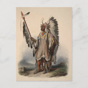 1800-talets inbyggda Amercan Chief Reprint Postcar Vykort