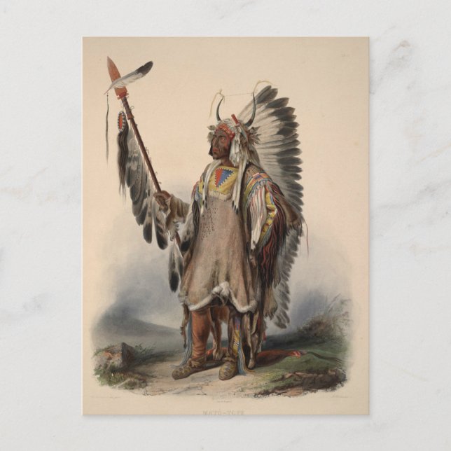 1800-talets inbyggda Amercan Chief Reprint Postcar Vykort (Framsida)