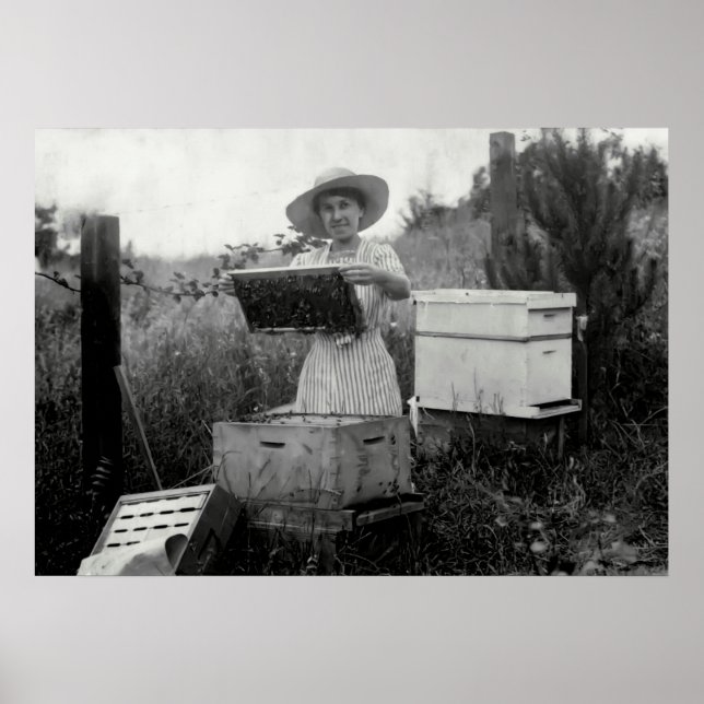 1800-talets QUEEN BEEKEEPER Poster (Framsidan)