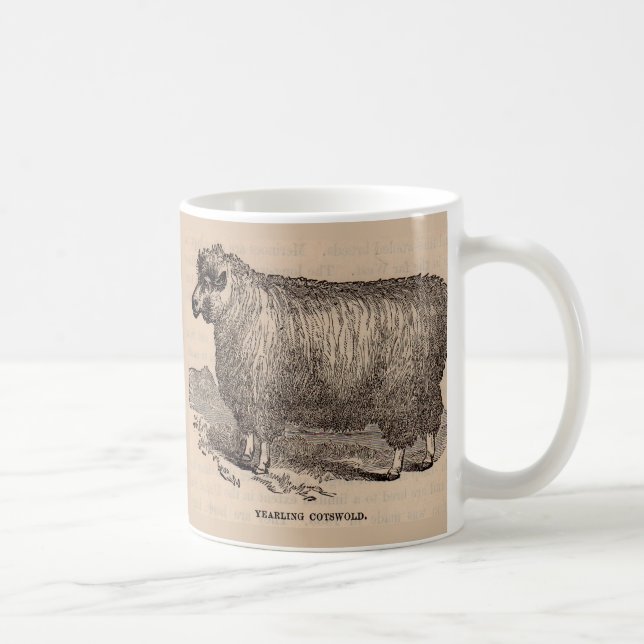 1800-talets tryckår Cotswold-får Kaffemugg (Höger)