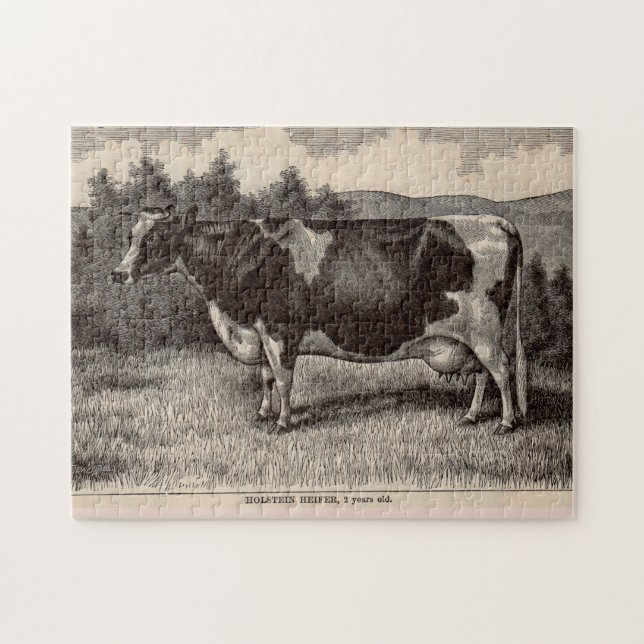 1800-talets tryckt Holstein heifer Pussel (Horisontell)