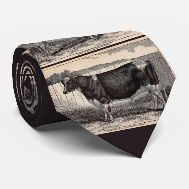 1800-talets tryckta Holsteinbull Slips (Rullad)
