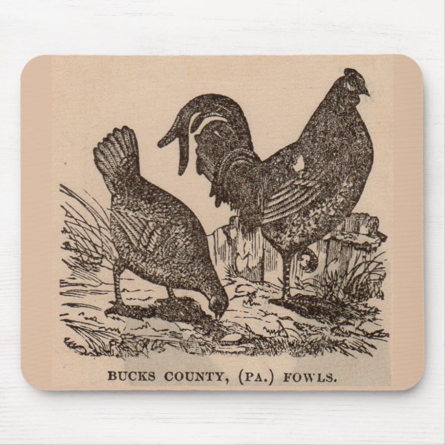 1800-talets utskrift Bucks County höns kycklingar Musmatta (Framsidan)