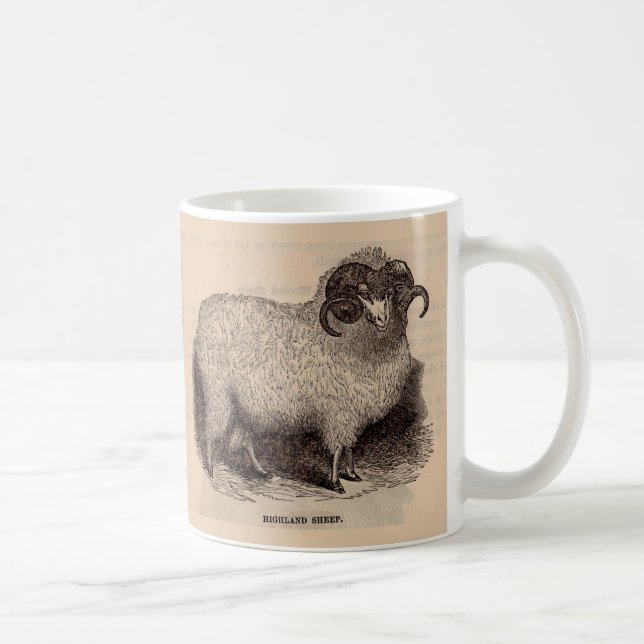 1800-tals tryck Highlandfår Kaffemugg (Höger)