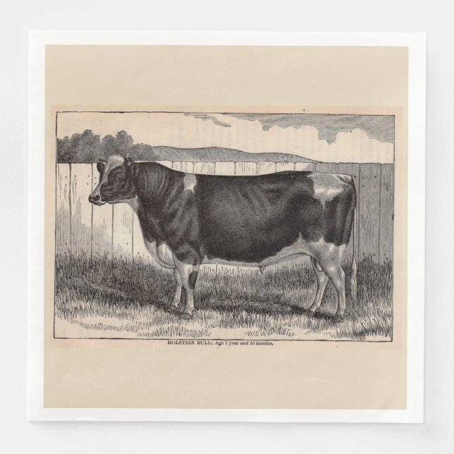 1800-tals tryck Holstein-tjur Pappersservett (Framsida)