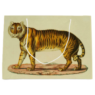1824 utskrift av tiger