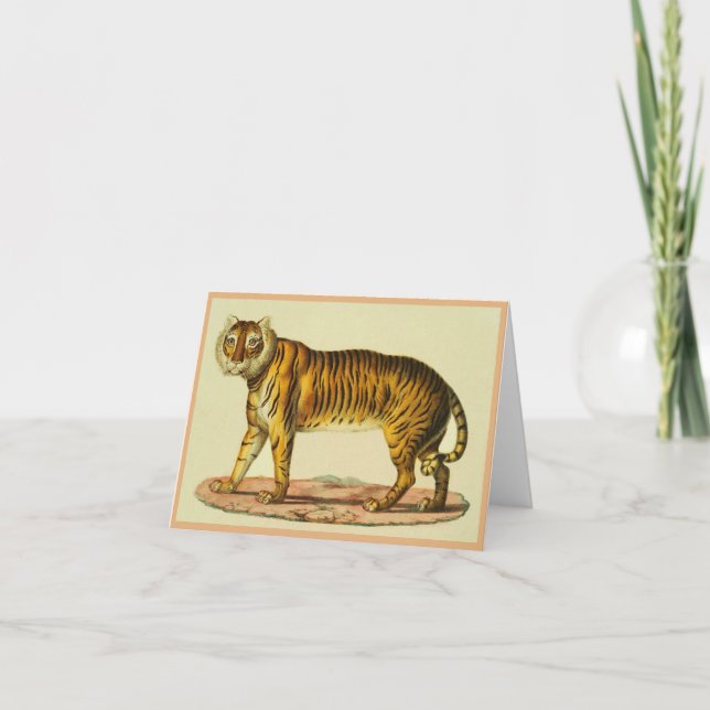 1824 utskrift av tiger anteckningskort (Framsida)