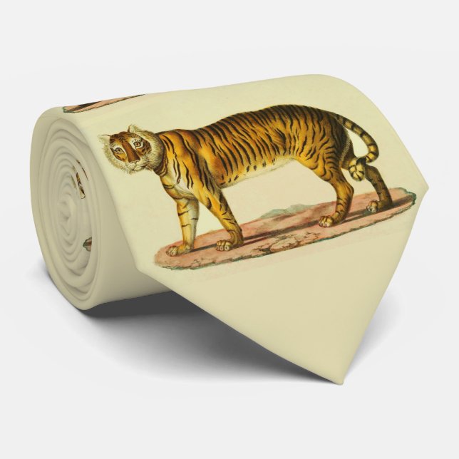 1824 utskrift av tiger slips (Rullad)