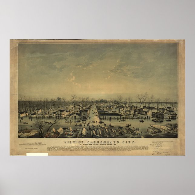 1850 Sacramento California Birds Öga Panoramic Kar Poster (Framsidan)
