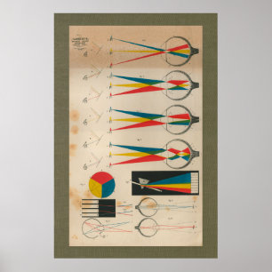 1851 Vintage Visionssynligt anatomischema Poster