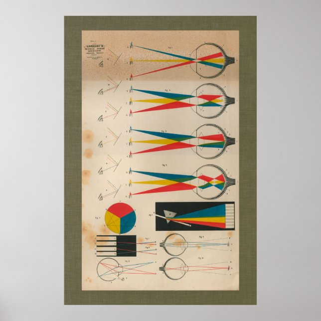 1851 Vintage Visionssynligt anatomischema Poster (Framsidan)