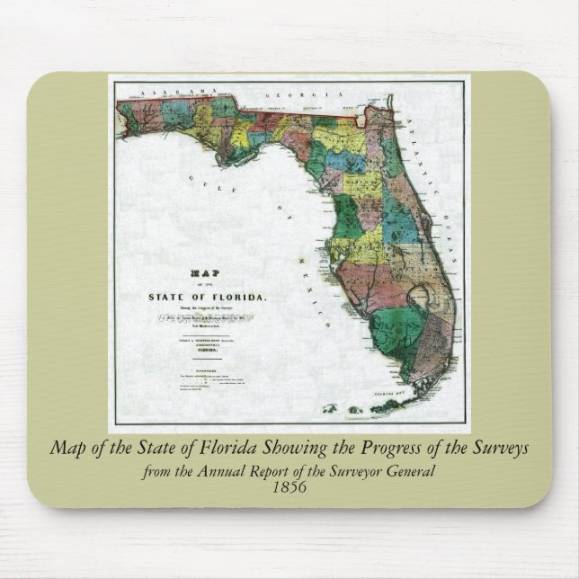 1856 Karta i delstaten Florida av Columbus Drew Musmatta (Framsidan)
