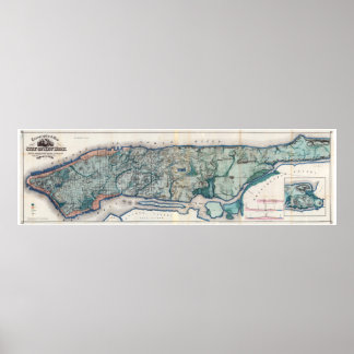 1865.Topografisk karta över staden New York Poster