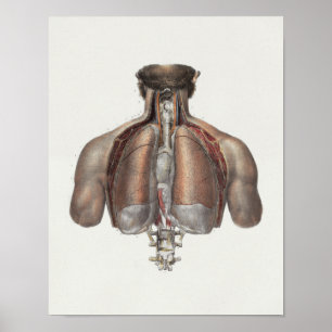 1867 Lungs drar tillbaka trycket för Poster