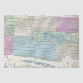 1870 Karta New York City Central Park