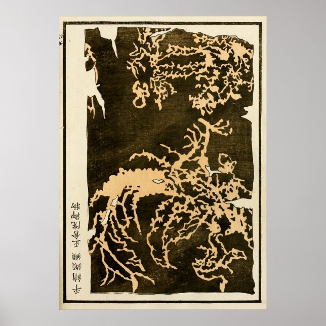 1871 kinesisk traditionell konst från Qingdynastin Poster (Framsidan)