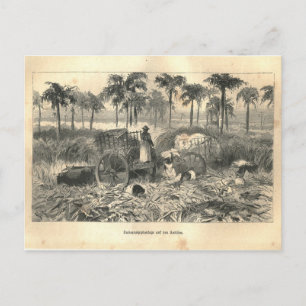 1877 Skriv ut Kuba Antillerna, Jorden och dess fol Vykort