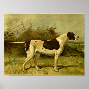 1881 Hund för pekare för Vintage Poster