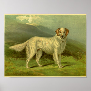 1881-Vintagars engelsk brevutskrift Poster
