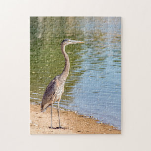 1884-Underbar blå Heron på Shore Puzzle Pussel