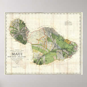 1885 De Witt Alexander Wall Karta i Maui, Hawaii Poster