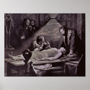 1888 ANATOMY STUDIE POSTER
