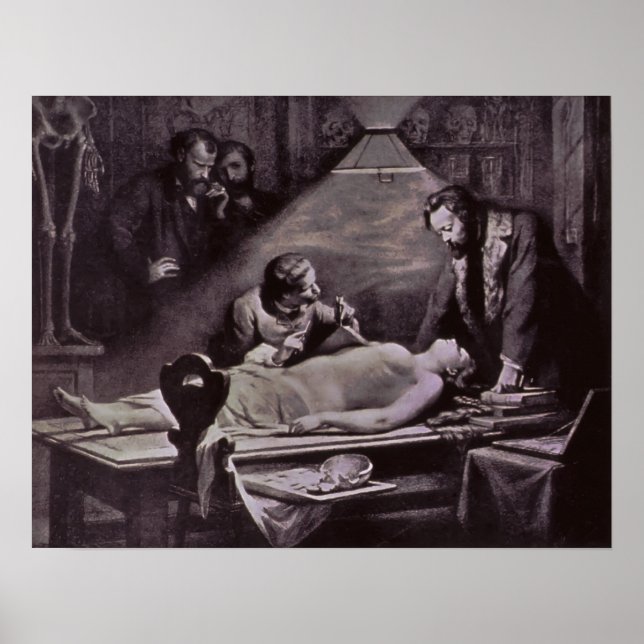 1888 ANATOMY STUDIE POSTER (Framsidan)
