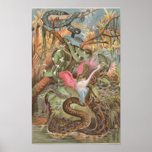 1889 ormar av den afrikanska djungeln poster