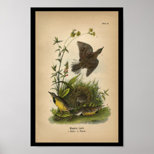 1890 Fågelutskrift - gult Poster
