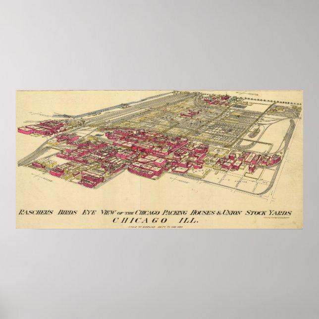 1890 Karta i Chicago's Meatpackaging District Poster (Framsidan)