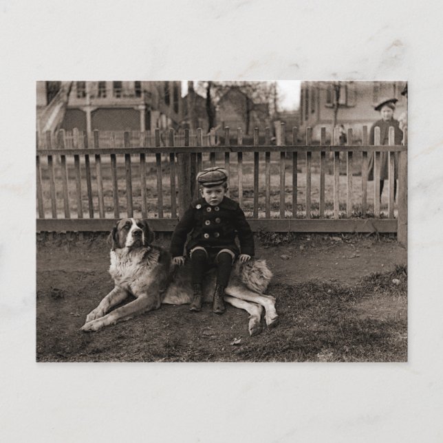 1890:s Boy Sitta på St Bernard Hund Photograph Vykort (Framsida)