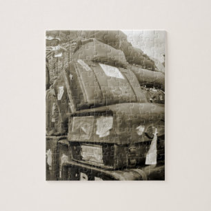 1890:S RESETEAMSTER WAGON SUITCASE PUSSEL