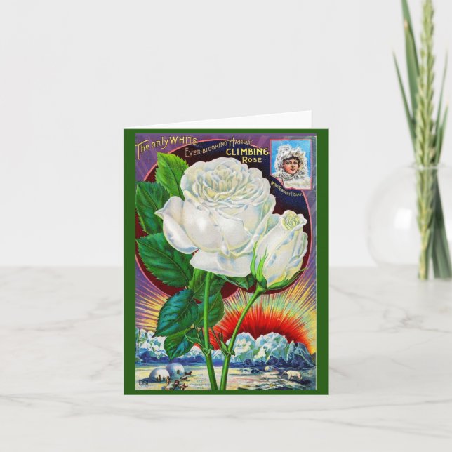 1890-talskatalogen i ro Vit ros Anteckningskort (Framsida)