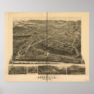 1891 Asheville, NC-fågelöga beskådar den panora Poster