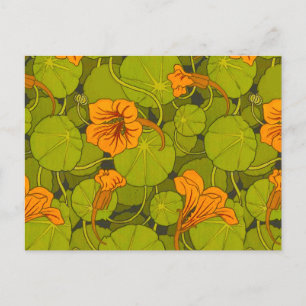1896 Viktorian Nasturtium-Blommigt Skriv ut Vykort