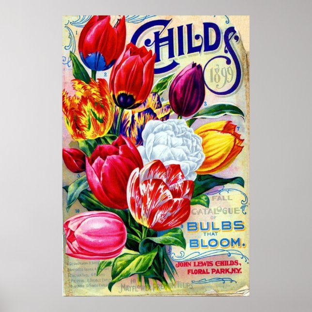 1899 John Lewis Barn Blommigt Vintage för trädgård Poster (Framsidan)