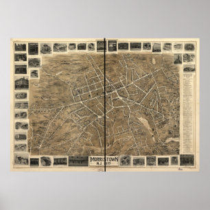 1899 Morristown, NJ-fågelöga beskådar den Poster