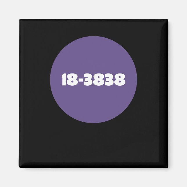 18-3838 MAGNET (Framsidan)